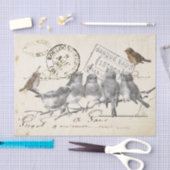 Papier Mousseline Oiseaux sur une succursale French Postmark Collage (Artisanat)