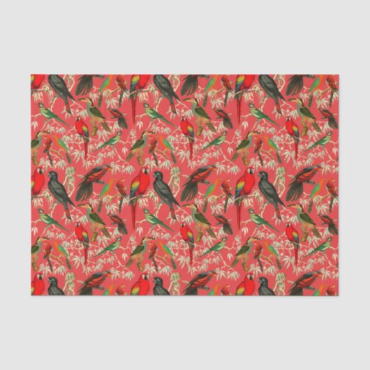 Papier Mousseline oiseaux vintages (Recto)