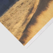 Papier Mousseline Open Road (Détail)