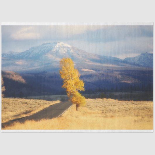 Papier Mousseline Open Road (Recto)