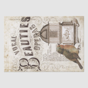 Papier Mousseline Opera Chanson Musique Robin Bird Birdcage Découpag