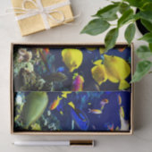 Papier Mousseline Options d'image sous-marine 5-6 (Cadeau)