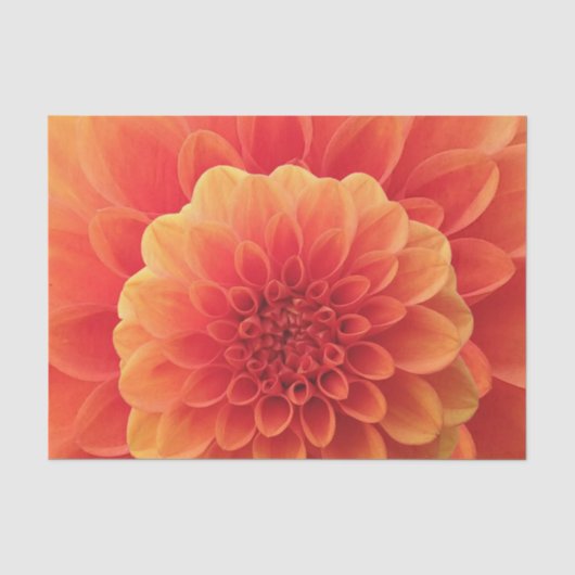Papier Mousseline Orange Dahlia (Recto)