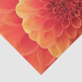 Papier Mousseline Orange Dahlia (Détail)