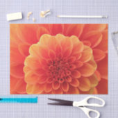 Papier Mousseline Orange Dahlia (Artisanat)