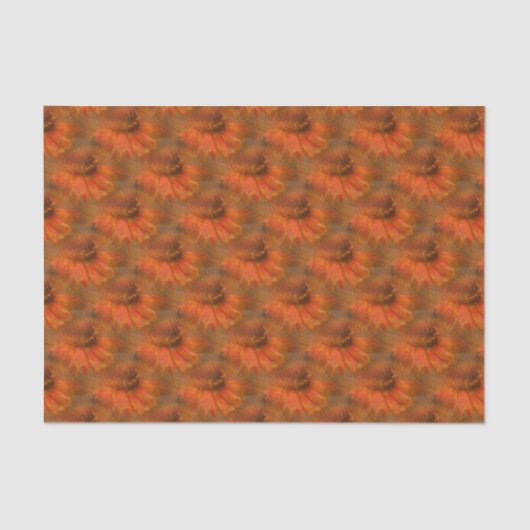Papier Mousseline Orange Daisy Flower Nature Motif (Recto)
