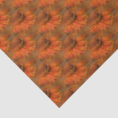 Papier Mousseline Orange Daisy Flower Nature Motif (Détail)