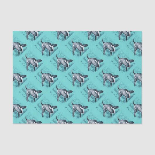 Papier Mousseline Orca Map (Recto)