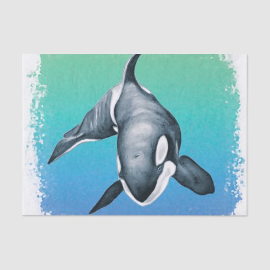 Papier Mousseline Orca Whale cristal Turquoise (Recto)