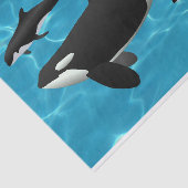 Papier Mousseline Orca Whales (Détail)