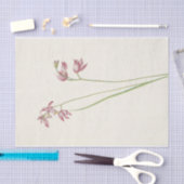 Papier Mousseline Orchard rose-herbe par Mary Vaux Walcott (Artisanat)