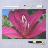 Papier Mousseline Orchidée Fleurie tropicale Florale (Artisanat)