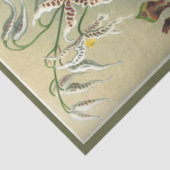 Papier Mousseline Orchidée Floral Ernst Haeckel Découpage (Détail)