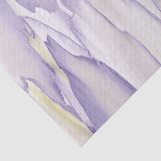 Papier Mousseline Orchidée violente (Détail)