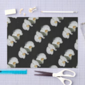 Papier Mousseline Orchidées blanches romantiques, photo florale trop (Artisanat)