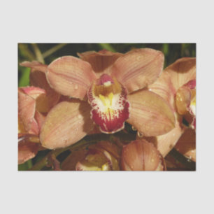 Papier Mousseline Orchidées de Pêche avec Raindrops Floral