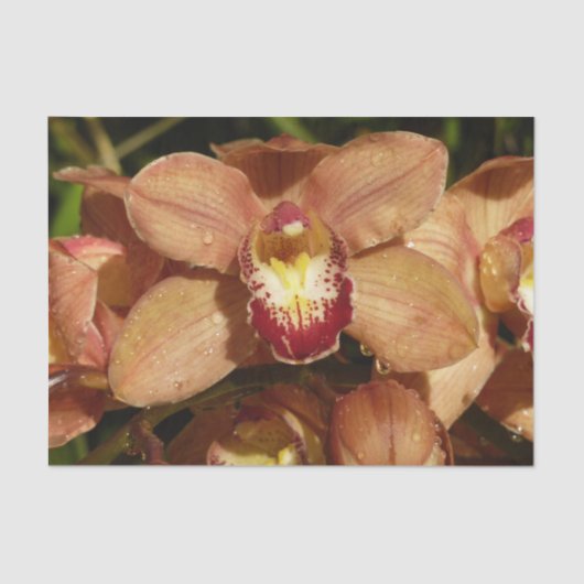 Papier Mousseline Orchidées de Pêche avec Raindrops Floral (Recto)