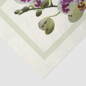 Papier Mousseline Orchidées Jaunes Riche Papier Cadeaux Tissus (Détail)