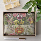 Papier Mousseline Orchidées, Orchidée Denusblumen Ernst Haeckel (Cadeau)