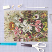 Papier Mousseline Orchidées, Orchidée Denusblumen Ernst Haeckel (Artisanat)