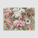 Papier Mousseline Orchidées, Orchidées Denusblumen par Ernst Haeckel<br><div class="desc">Orchidées,  Orchidées Denusblumen par Ernst Haeckel Tissue Paper</div>