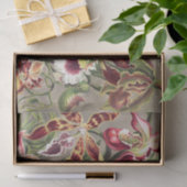 Papier Mousseline Orchidées, Orchidées Denusblumen par Ernst Haeckel (Cadeau)