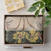 Papier Mousseline Orchidées par Ernst Haeckel (Cadeau)