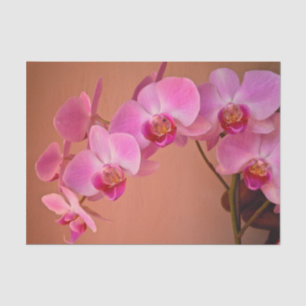 Papier Mousseline Orchidées roses