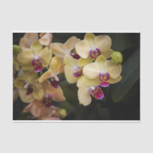 Papier Mousseline Orchidées roses et jaunes
