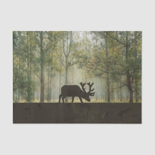 Papier Mousseline Orignaux dans l'illustration de forêt (Recto)
