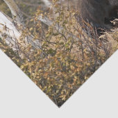 Papier Mousseline Orignaux impressionnants de Taureau (Détail)