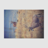 Papier Mousseline Oryx en Afrique (Recto)