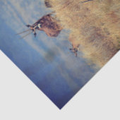 Papier Mousseline Oryx en Afrique (Détail)