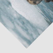 Papier Mousseline Otter flottante (Détail)