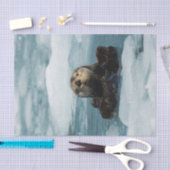 Papier Mousseline Otter flottante (Artisanat)