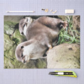 PAPIER MOUSSELINE OTTERS (Artisanat)