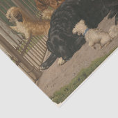 Papier Mousseline Otto Bache | Chiens non admis (Détail)