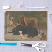 Papier Mousseline Otto Bache | Chiens non admis (Artisanat)