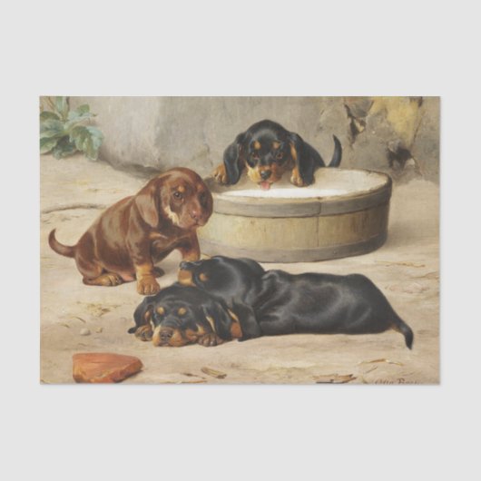 Papier Mousseline Otto Bache | Chipies Dachshund (Recto)