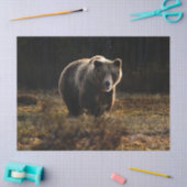 Papier Mousseline Ours (Artisanat)