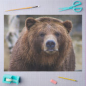 Papier Mousseline Ours Brown (Artisanat)