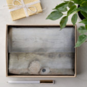 Papier Mousseline Ours Cute Stuffé Mur Rustique En Bois (Cadeau)