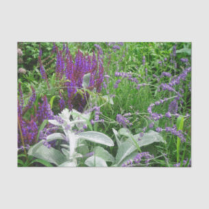 Papier Mousseline Ours d'agneaux de salvia et lavande