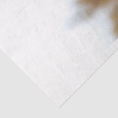 Papier Mousseline Ours grizzli traversant une déviation d'une rivièr (Détail)