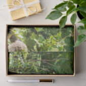 Papier Mousseline Ours noir curieux (Cadeau)