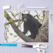 Papier Mousseline Ours noir s'élevant (Artisanat)