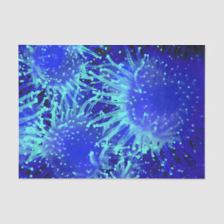 Papier Mousseline Oursin tropical rougeoyant de bleu vibrant