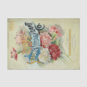 Papier Mousseline Pacific Strong Seed & Plante 1898 Catalogue Vintag