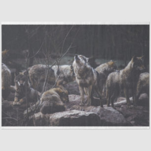 Papier Mousseline Pack Wolf