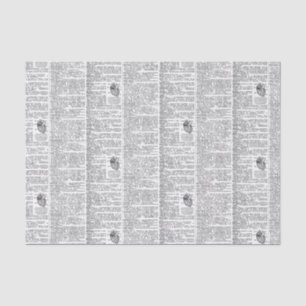 Papier Mousseline Page Dictionnaire